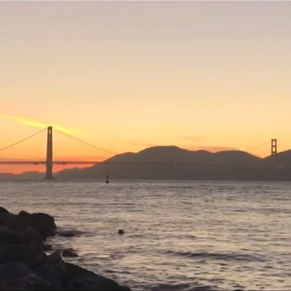 Meet your Posher, Sophie - Picture 1 of 1